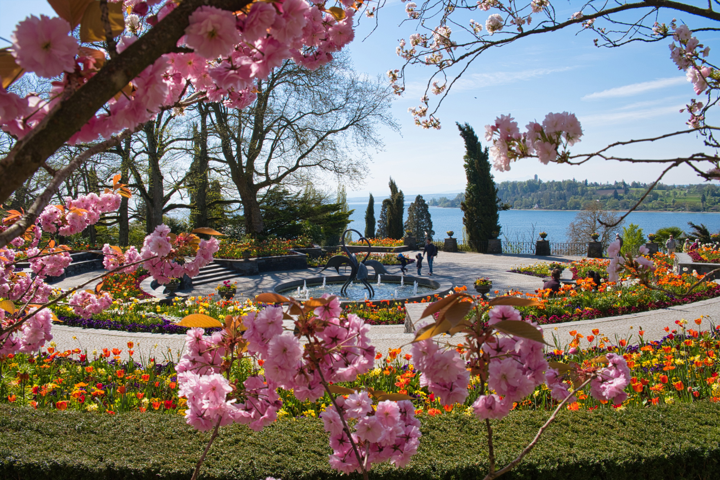 Brunnenarena im Frühling auf der Insel Mainau