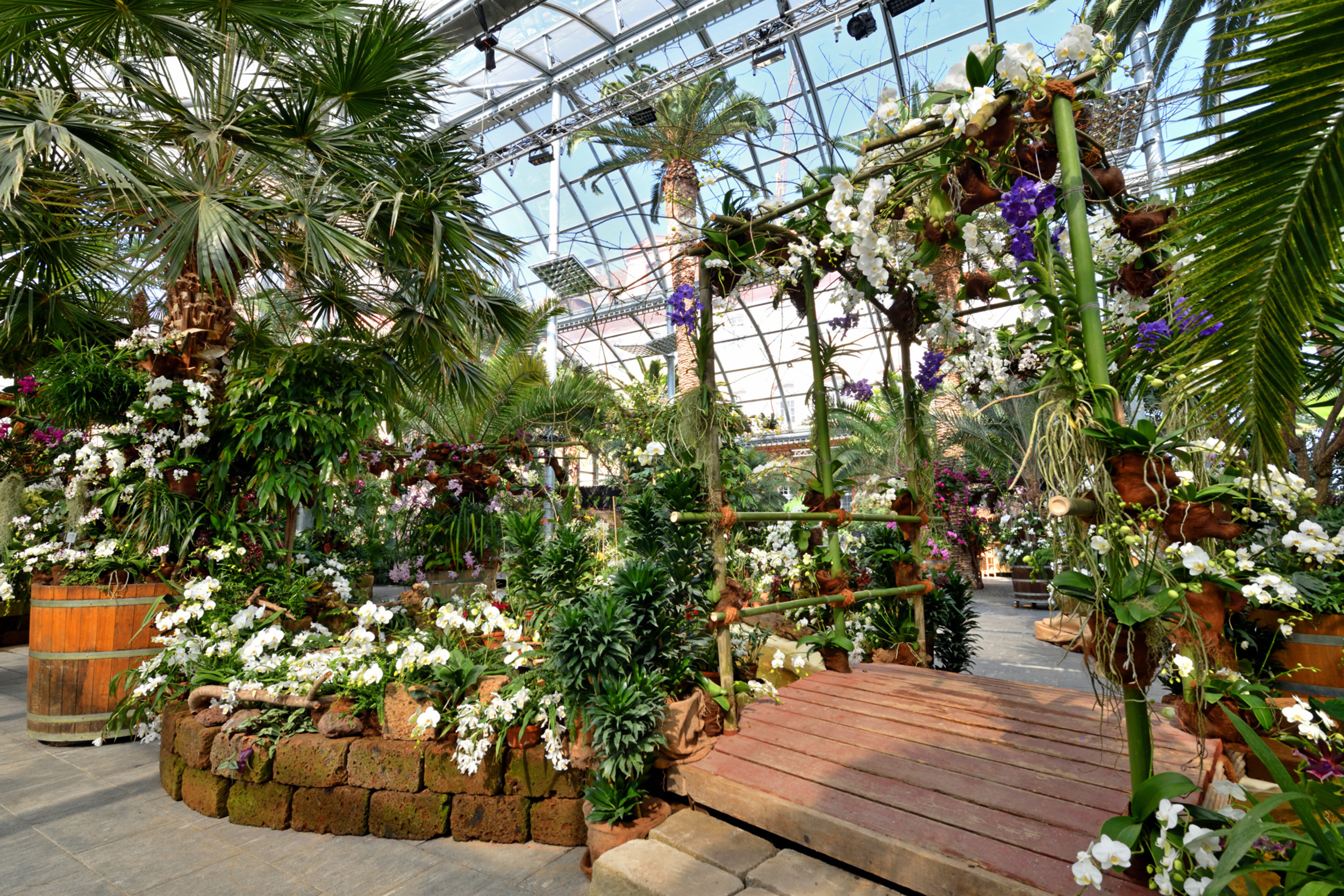 Orchideenschau im Palmenhaus auf der Insel Mainau