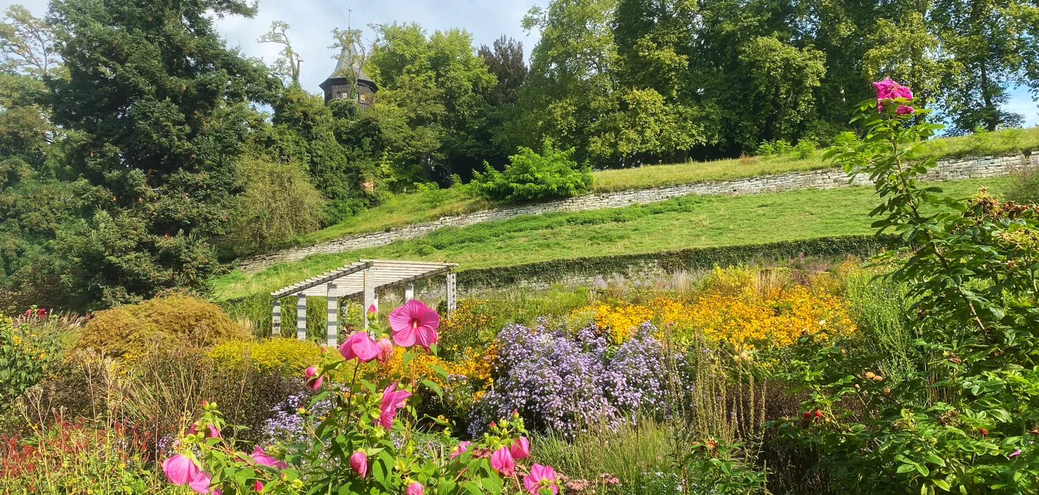 Staudengarten Insel Mainau