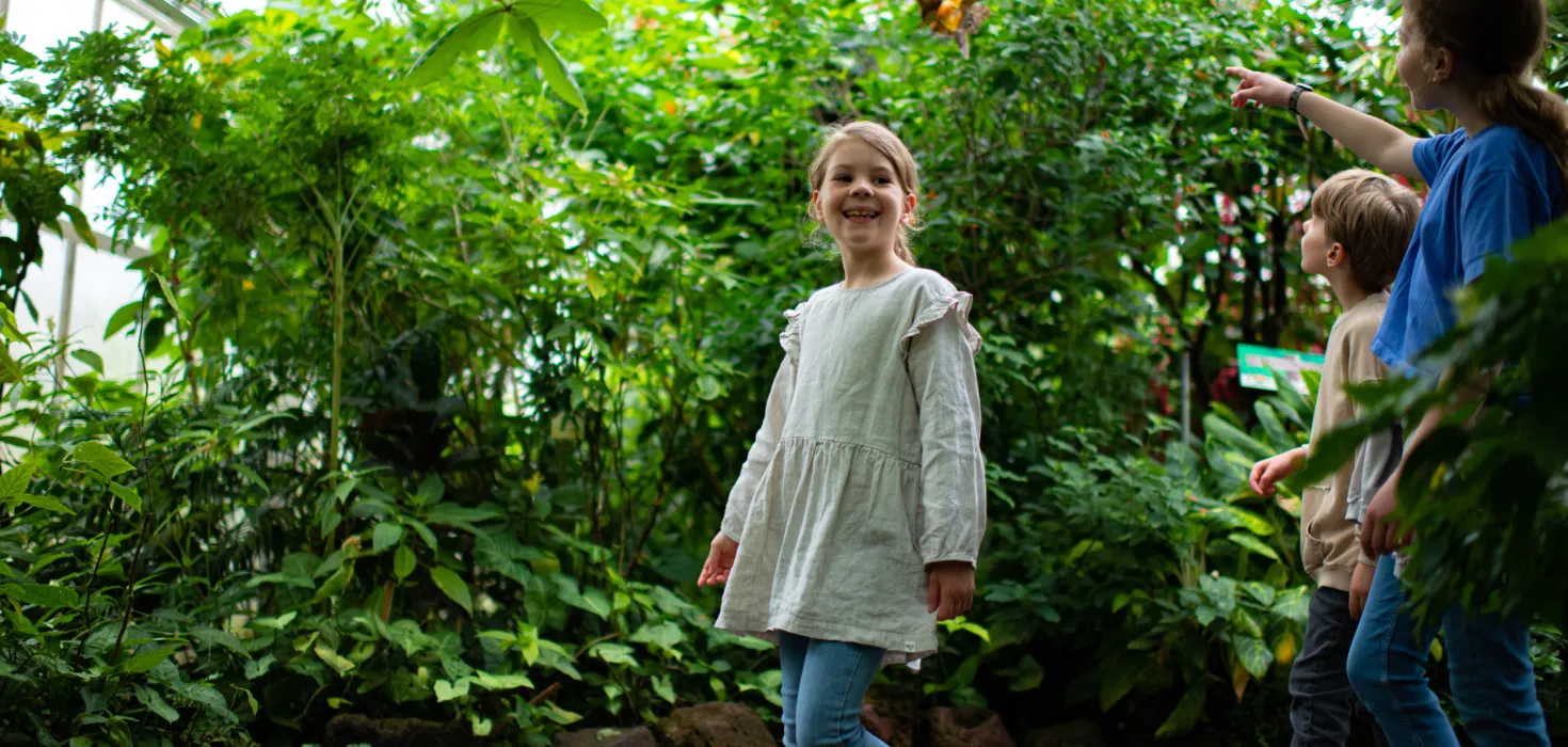 Kinder auf Entdeckungstour im Schmetterlingshaus