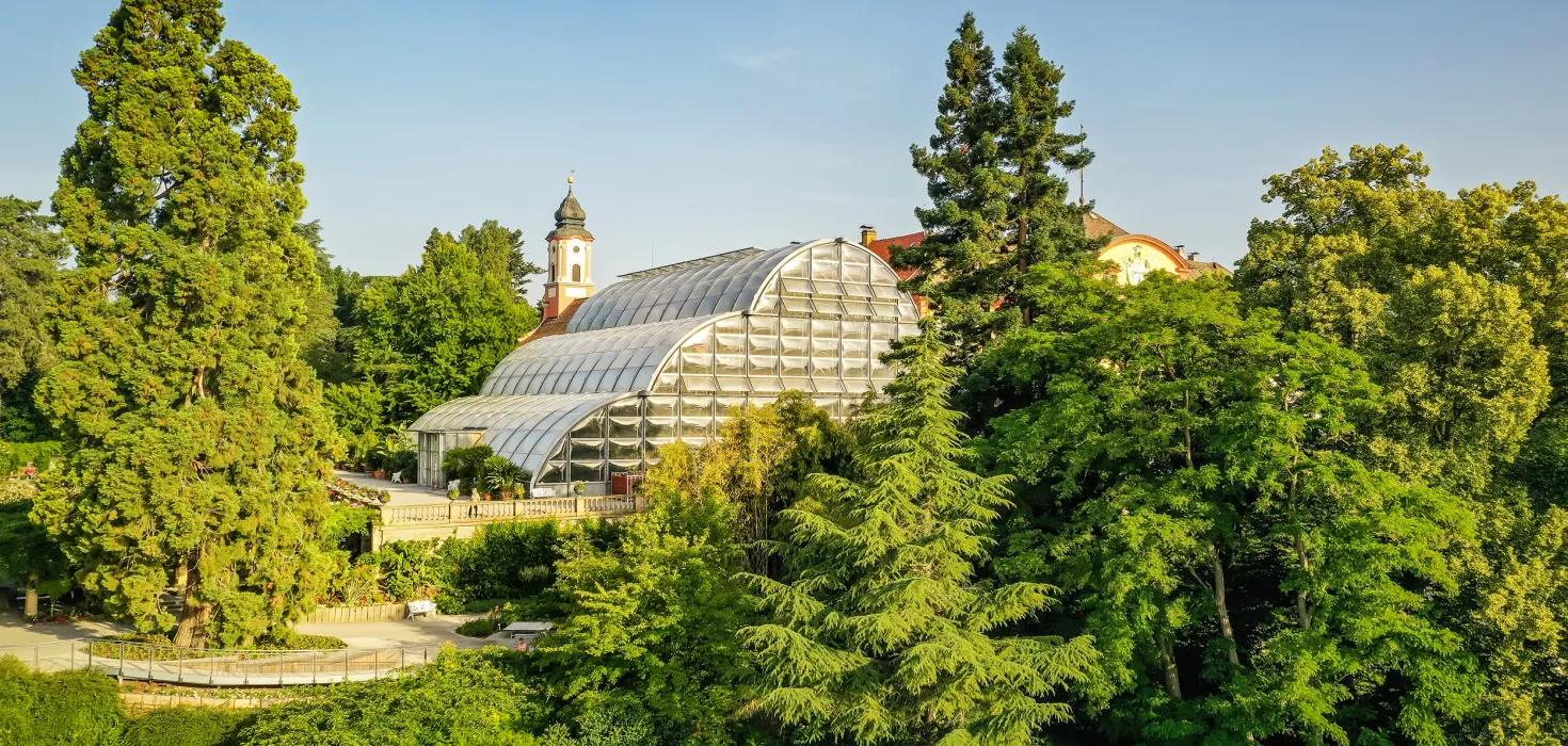 Luftaufnahme vom Palmenhaus der Insel Mainau 