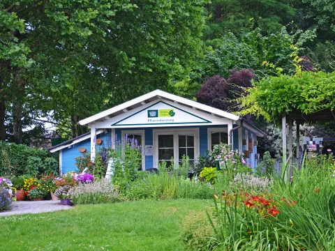 Pflanzenberatung der Insel Mainau im Platanenweg 5