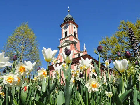Schlosskirche der Insel Mainau 