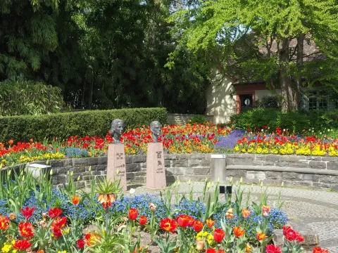 Sonja und Lennart Bernadotte Platz auf der Insel Mainau, umrahmt von Tulpen
