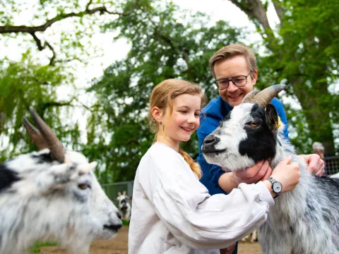 Streicheleinheiten für die Ziegen im Mainau-Bauernhof