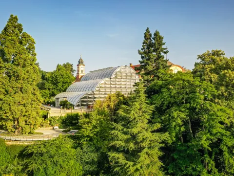 Luftaufnahme vom Palmenhaus der Insel Mainau 