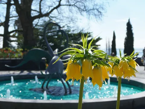Schwanenbrunnen mit Kaiserkronen Insel Mainau 