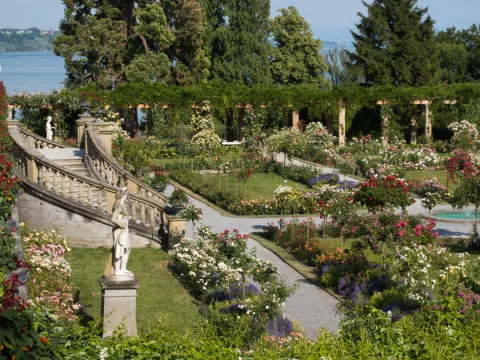 Rosengarten Insel Mainau 