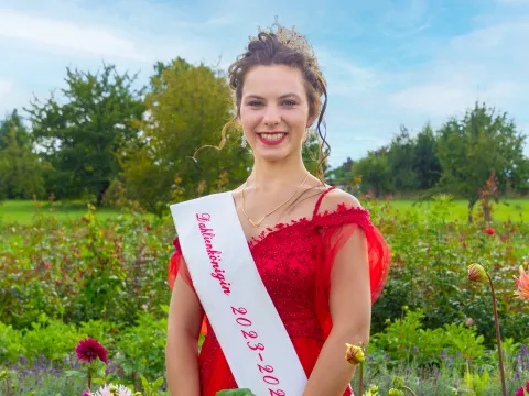 Dahlienkönigin von Bad Köstritz Elisabeth II.