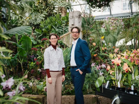 zwei Personen vor vielen Orchideen