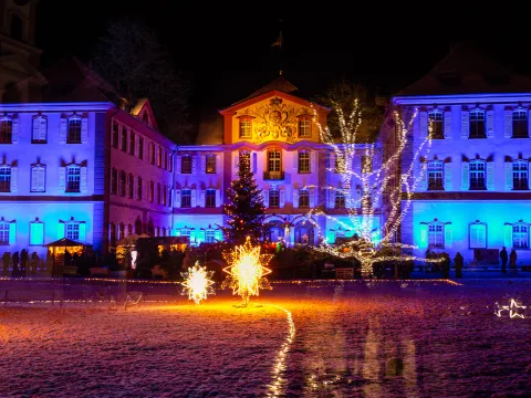Mainau Akademie Seminare Fotografie im Christmas Garden