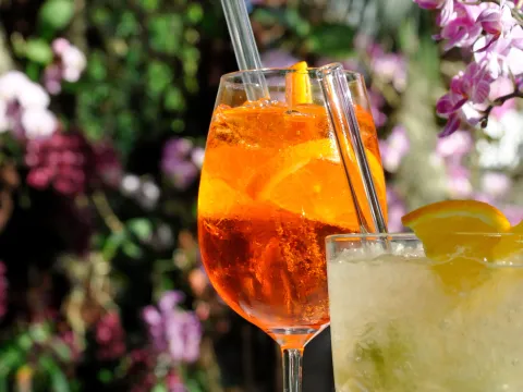 Apero im Blütenmeer