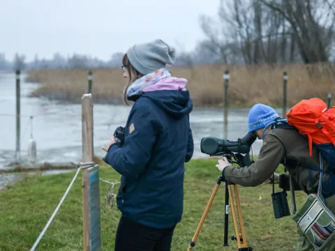 Eine Gruppe von Menschen beobachten am Wasser durch ein Fernrohr Vögel
