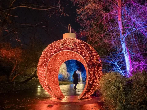 In einem Park läuft eine Person durch einen Tunnel in Form einer roten Christbaumkugel