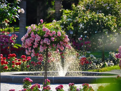 Ein blühender Garten mit einer Fontäne und bunten Blumen.