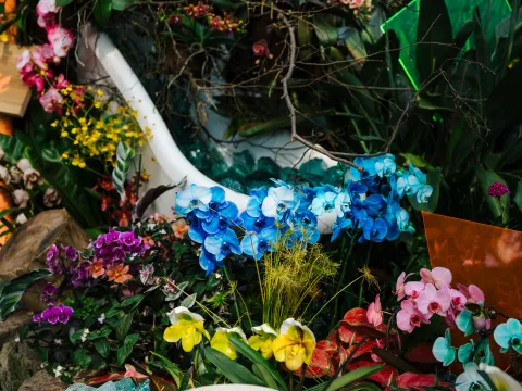 Farbenreiche Orchideeninstallation mit blauen, rosa und gelben Blüten vor tropischer Bepflanzung und dekorativen Elementen in einem Gewächshaus.