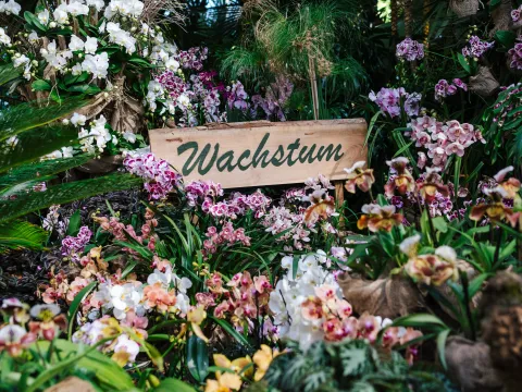 Üppige Orchideenbepflanzung in einem Gewächshaus mit einem Holzschild „Wachstum“, umgeben von tropischen Pflanzen und Palmen.