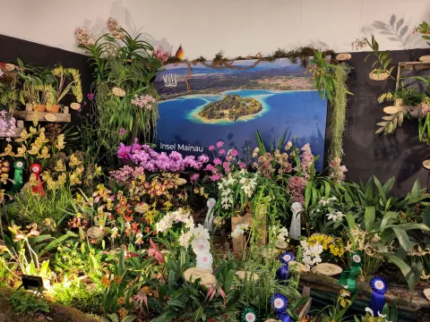 Ausstellungsstand der Insel Mainau auf einer Orchideenschau mit zahlreichen blühenden Orchideen, Pflanzenarrangements und Prämierungsschleifen vor einem Hintergrundbild der Insel im Bodensee.