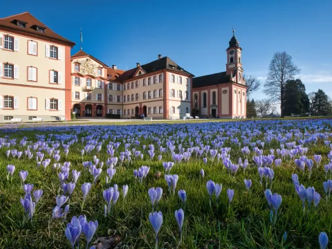 Ein historisches Schloss umgeben von einem großen, bunten Blumenbeet mit lila Krokussen auf einer sonnigen Frühlingsfläche.