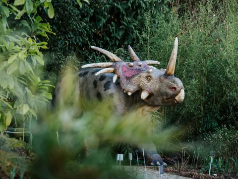 Styracosaurus-Figur steht in einem bepflanzten Gartenbereich, umgeben von Sträuchern und Bäumen.