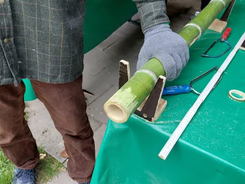 Person mit Handschuhen sägt ein grünes Bambusrohr auf einem Arbeitstisch, daneben liegen Werkzeuge wie Säge und Zollstock