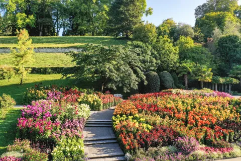 Luftaufnahme Dahliengarten