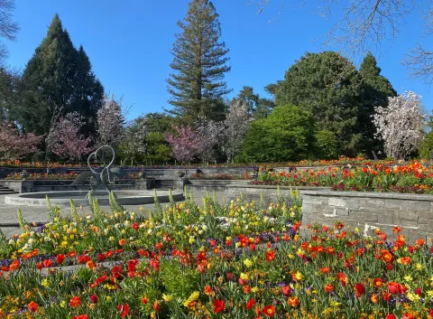 Frühling auf den Mediterran-Terrassen der Insel Mainau