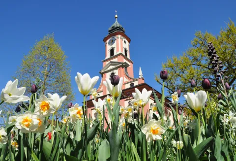 Schlosskirche der Insel Mainau 
