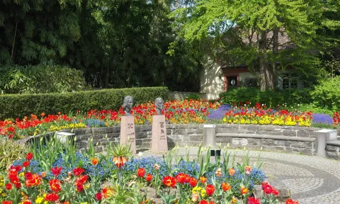 Sonja und Lennart Bernadotte Platz auf der Insel Mainau, umrahmt von Tulpen