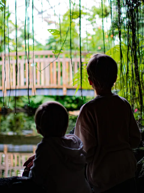 Die Mainau mit Kinderaugen