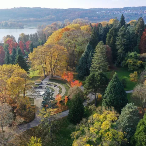 Luftaufnahme Mediterran-Terrassen im Herbst auf der Insel Mainau