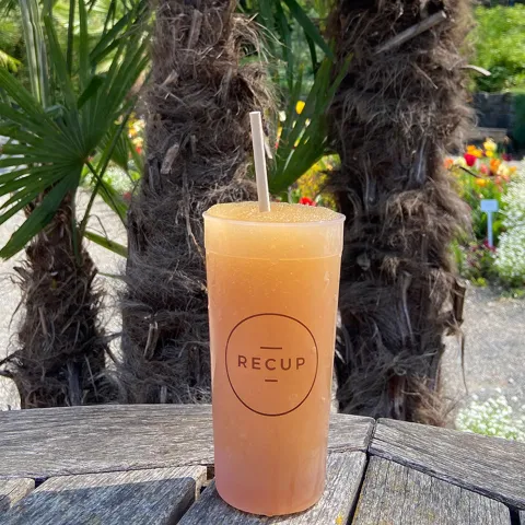 Slushie Mainau Apfelsaft Schmetterlingshaus Insel Mainau 