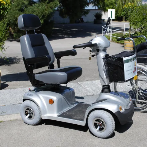 E-Mobil Insel Mainau